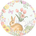 Image Not Available